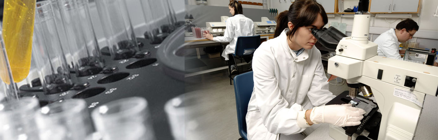 Lab Tests (Computerised)